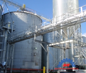 SILO  3000 tấn 