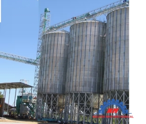 SILO 5000 TẤN 